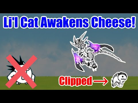 Battle Cats - Tiny Meows CHEESE | Li'l Cat Awakens | How To Avoid Boss