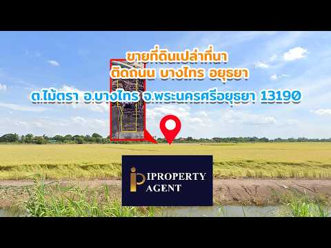 ที่ดินเปล่า ต.ไม้ตรา อ.บางไทร จ.พระนครศรีอยุธยา, พระนครศรีอยุธยา, สายปทุมธานี-เสนา, ไม้ตรา, บางไทร, พระนครศรีอยุธยา, 6,800 ตร.ม., ที่ดิน ขาย, โดย ปริญธิดา สวัสดิโสภาคยกุล, 500314977 - DDproperty.com