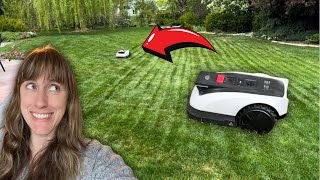 Review of The Ecovacs Goat 1000- The Best Robot Lawnmower?