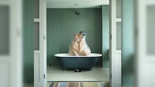 £.vıewƶ(이뷰즈) - Don't (prod. by Nap!er)