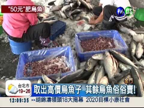 冬令燉烏魚進補 1尾只要50元!