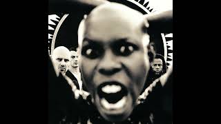 Skunk Anansie - Yes It&#39;s Fucking Political