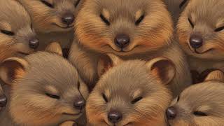 ‭ ‭ ‭ ‭ ‭ ‭ ‭ ‭ ‭ ‭ ‭ ‭ ‭ ‭ ‭ ‭ ‭ ‭