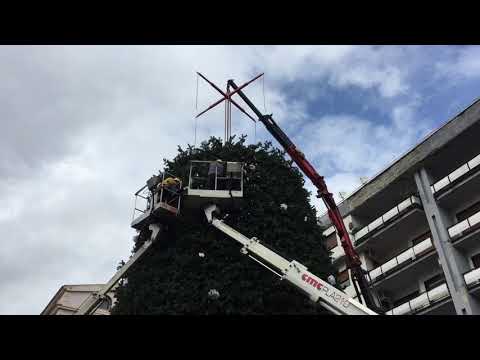 Salerno: montaggio del mega Albero di Natale in Pizza Portanova
