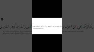 Download lagu Tilawah Surah Al-Baqarah ayat 155 #SurahAlBaqarah #TilawahQuran #BacaanMerdu #QuranShorts #mengaji mp3 Download lagu Tilawah Surah Al-Baqarah ayat 155 #SurahAlBaqarah #TilawahQuran #BacaanMerdu #QuranShorts #mengaji mp3