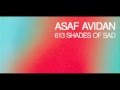 Asaf Avidan // 613 Shades of Sad 
