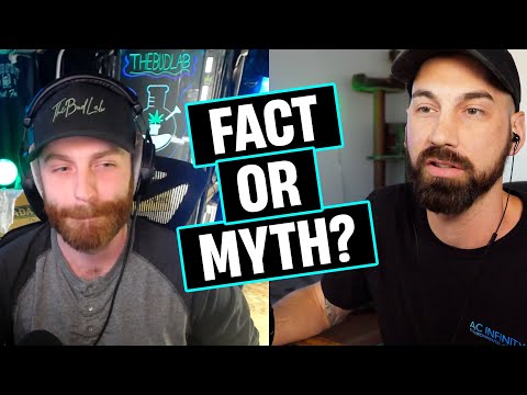 Can You Clone Auto Flowering Plants?