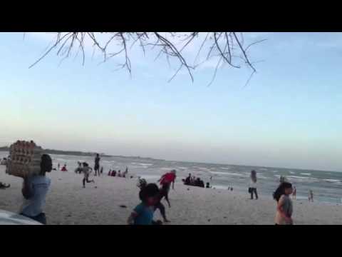 Eggs on the beach, anyone?