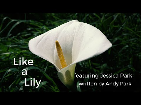 Thumbnail for Like a Lily video