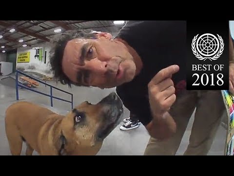 Reproducir vídeo