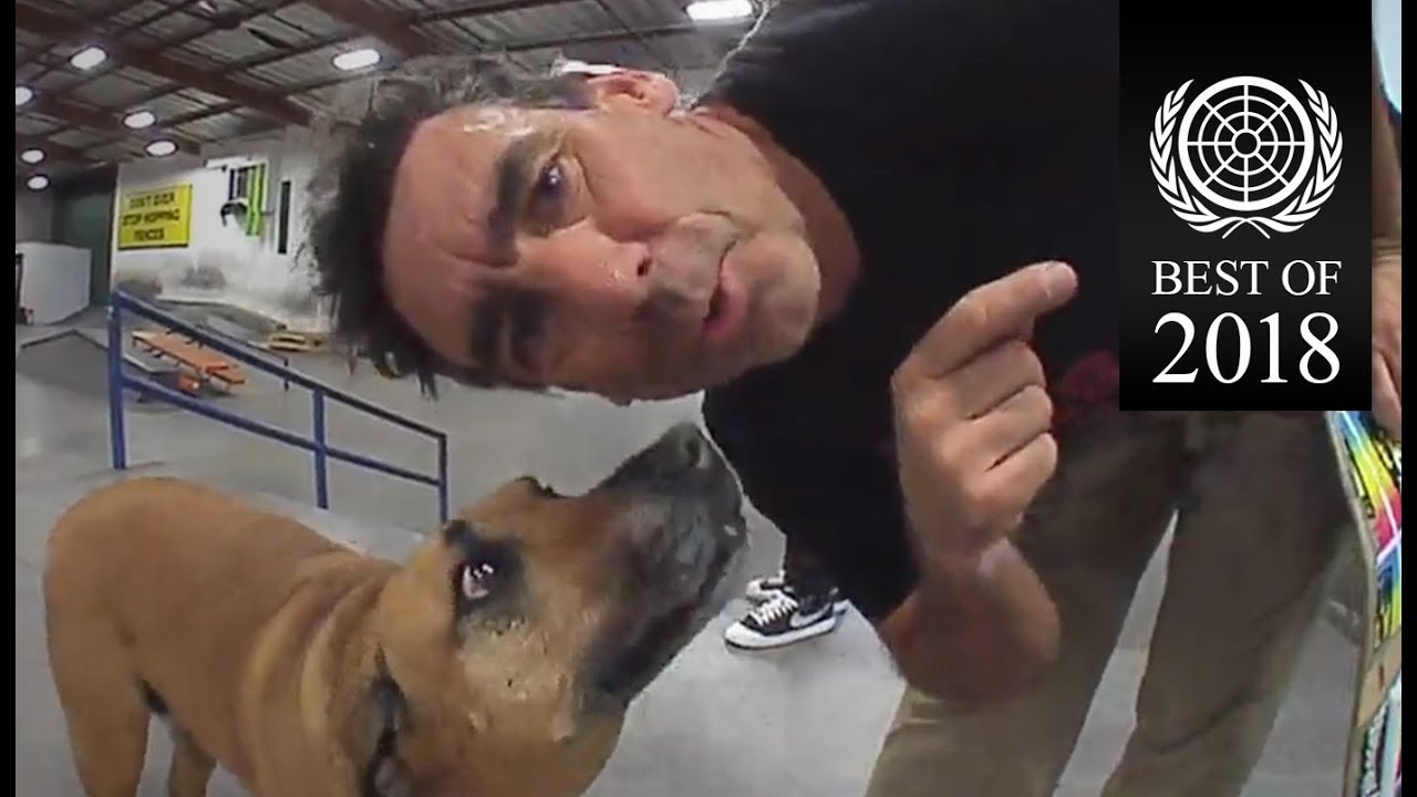 DreamTrick 2018 - Recopilatorio de lo mejor