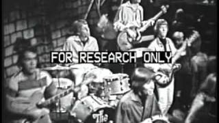 The Bees Leave Me Be