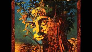 Pierre Bensusan - Bouree Voltige