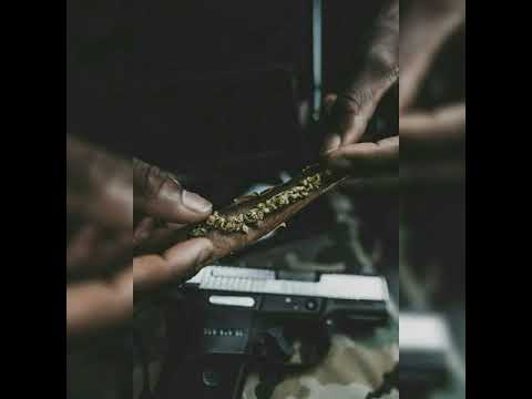 Cocaina-Unge Beirut,Musti,Gee Dixon