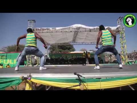 Makomando na Tingatinga