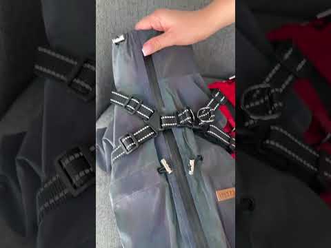 Дождевик комбинезон для собак со шлеёй на змейке, водотталкивающий, светоотражающий - фото 2 - id-p2340676184