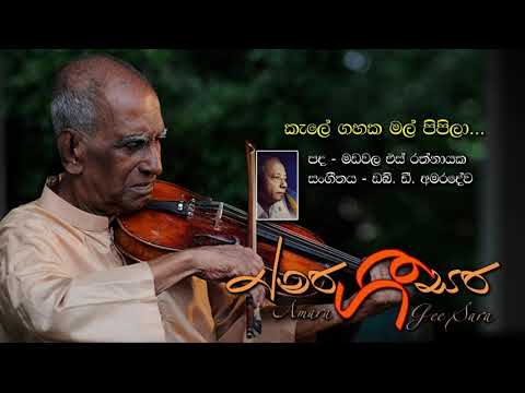 Kale Gahaka Mal Pipila කැලේ ගහක මල් පිපිලා  පද: මඩවල. එස්. රත්නායක සංගීතය: ඩබ්. ඩී. අමරදේව