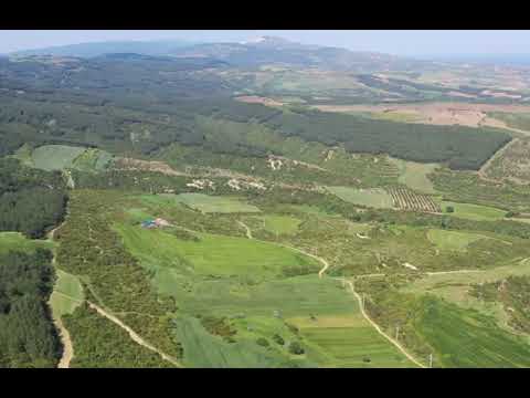 OUR YOUTUBE CHANNEL thumbnail