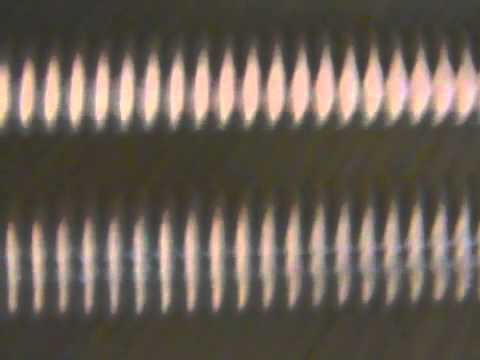 Sharkamaptaka - shuffle !