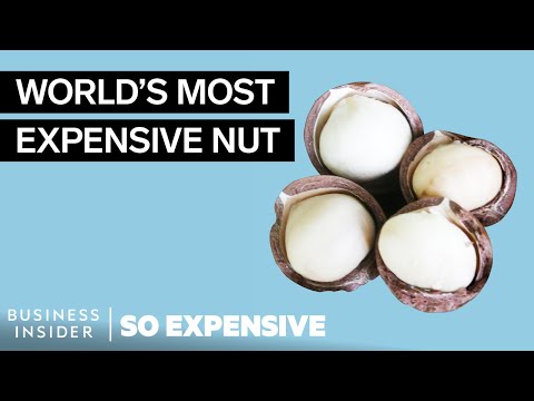 , title : 'Why Macadamia Nuts Are So Expensive | So Expensive
