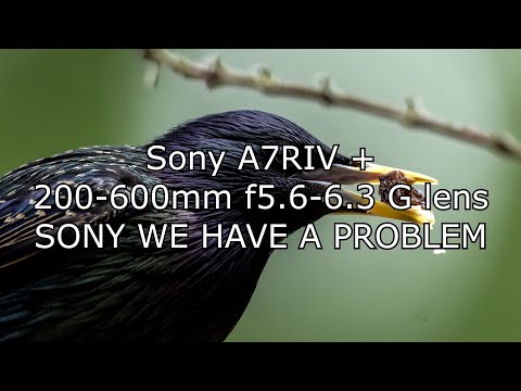 Sony We have A Problem Sony A7riv + 200 600 mm f5 6 6 3 G lens (autofocus)