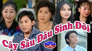 Cây Sầu Dâu Sinh Đôi - Lệ Thủy, Kim Tử Long, Thoại Mỹ, Thanh Ngân, Phượng Hằng, Trọng Hữu, Kim Tiểu Long