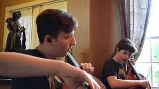 Emil and Dariel - Nothing Else Matters (acoustic cover)