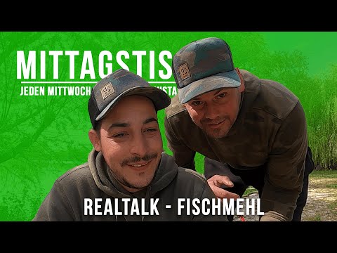 Mittagstisch | Eure Fragen | Meine Tipps | Realtalk - Fischmehl | #11