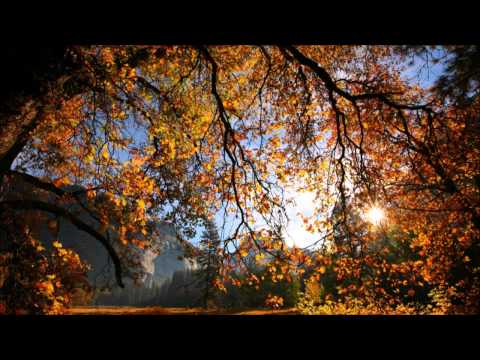Beautiful Vocal Trance 6