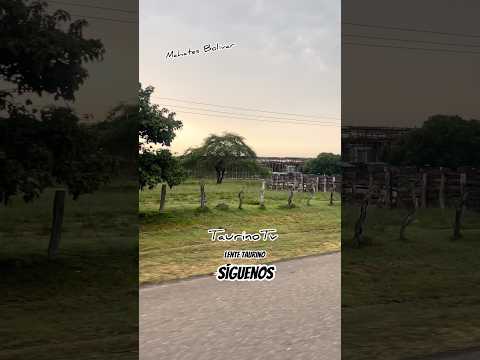 Corralejas en mahates Bolívar 2026 #viral #comparte #toros