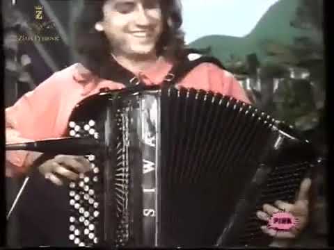 Zlata Petrović Uzivo