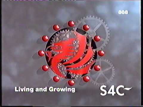 S4C Ysgolion/Schools 6/1/97 (9)