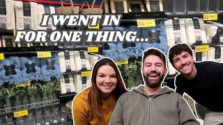 Home Bargains, TK Maxx Sale & a Norfolk Road Trip | Weekly Vlog