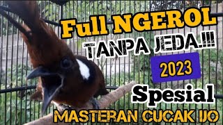 Download lagu SPESIAL BUAT CUCAK IJO Masteran Cililin Gacor Jernih Durasi panjang Tanpa Jeda mp3