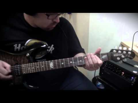 Mesa Boogie Mark V and Eleven Rack