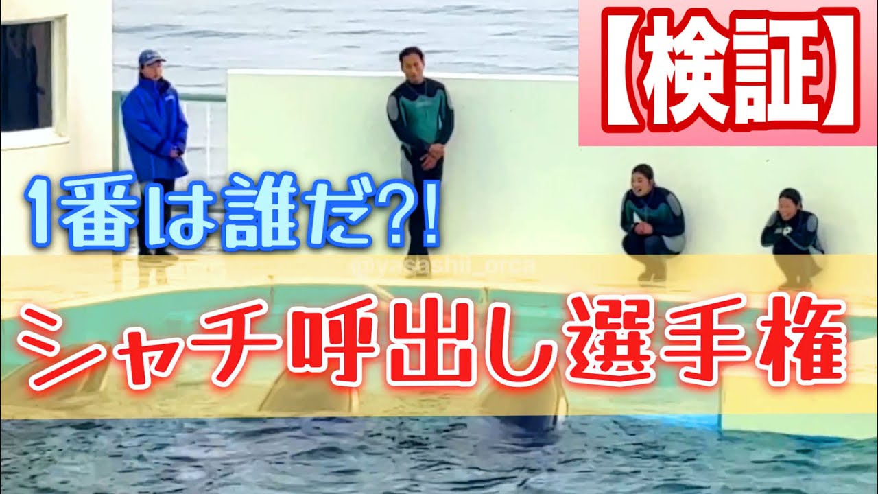 必死にアピールするトレーナー、シャチたちの予想外すぎる反応とは？　鴨川シーワールド シャチ ラビー ララ ルーナ