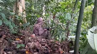 Download lagu Cara memanggil rusa pakai suara Pikatan #rusa #payau mp3 Download lagu Cara memanggil rusa pakai suara Pikatan #rusa #payau mp3