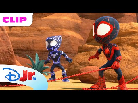 Spidey & Black Panther Stop a Giant Sandstorm | Marvel's Spidey and his Amazing Friends |@disneyjr