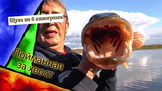 Рыбалка на севере. река горная обь. август 2020г