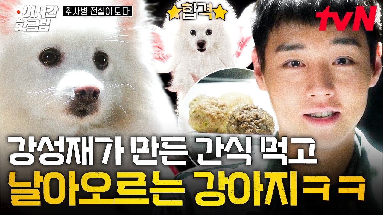 [#취사병전설이되다] 하다 하다 연대장 딸까지 홀려버린 강성재표 요리 ㅋㅋㅋ🐶 강성재의 손에 쥐어지?