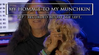 Rest in peace my beautiful little munchkin. I miss you more than you know..... I am crushed. 😞