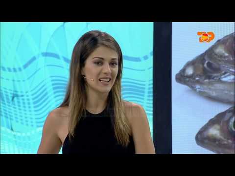 Ne Shtepine Tone, 19 Qershor 2017, Pjesa 3 - Top Channel Albania - Entertainment Show
