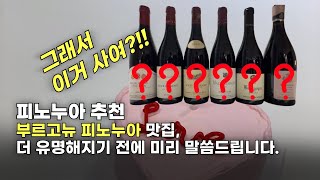 부르고뉴 피노누아 추천 6종 - 부르고뉴 입문자부터 와인애호가까지