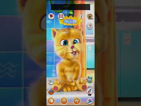 Ginger Kucing Orange Lucu - Part 1 😅😂🤣😄😁😚😋😜😝😛🤪🥳🐆🐅🐈🐈‍⬛🍏🍓🍌🍍🍉🥝🍅🍅🥝🧁🍰🍭🍦 #subscribe #talkingginger #gaming
