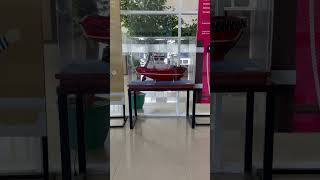 Download lagu Visit to SNQ#shortvideo #funny #cute #enah #trending #surabayanorthquay #surabaya #shorts mp3