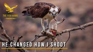Wildlife Filmmaking Advice from a BBC & Nat Geo Cameraman (Alan Lacey)