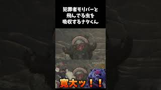 寛大ッ！モリバーと虫を吸収するナタくん #monsterhunterwilds #モンハンワイルズ #ゲーム実況 #shorts