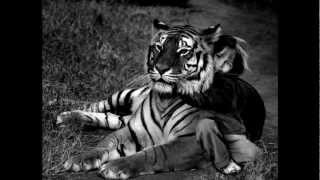 Saturnus - The Fall Of Nakkiel