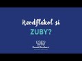 Dental Brothers Neodflákol Si Zuby