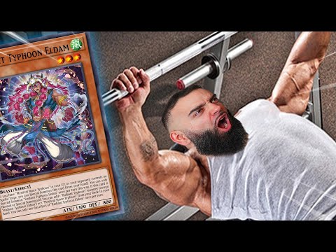 radiant typhoon is the best deck.